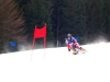 skibob-wm-2009-016.jpg