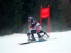 skibob-wm-2009-042.jpg