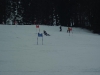 skibob-wm-2009-061.jpg