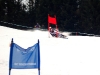 skibob-wm-2009-063.jpg