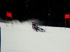 skibob-wm-2009-064.jpg