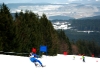 skibob-wm-2009-080.jpg